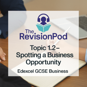 Topic 1.2- Spotting a Business Opportunity