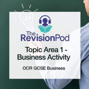 Topic Area 1 - Business Activity